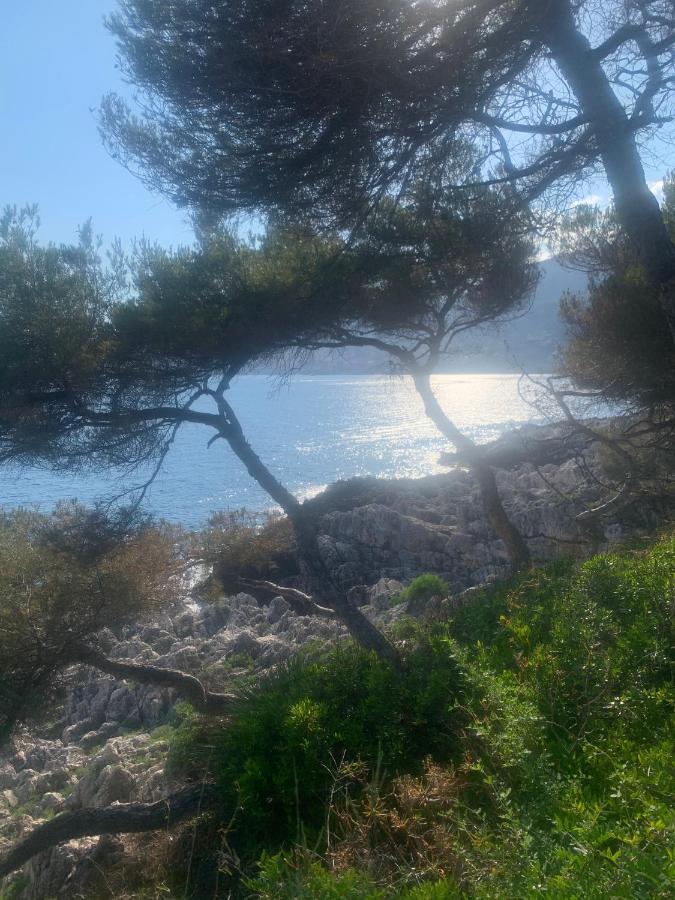 Castiello B&B Roquebrune-Cap-Martin Exterior foto
